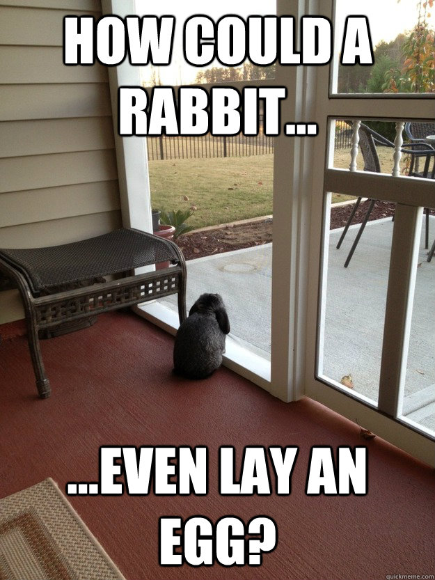 How could a rabbit... ...even lay an egg?  Facing Reality Bunny