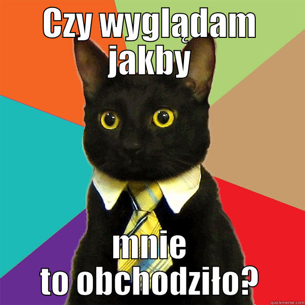 CZY WYGLĄDAM JAKBY MNIE TO OBCHODZIŁO? Business Cat