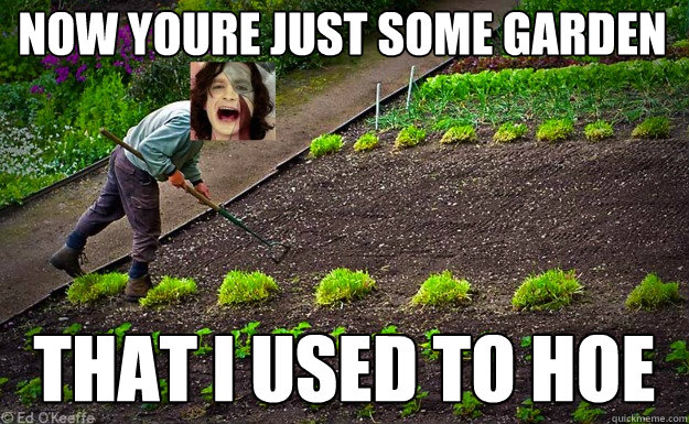 NOW YOURE JUST SOME GARDEN THAT I USED TO HOE  Gotye