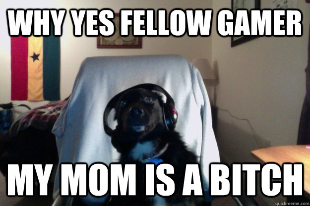 Why Yes fellow gamer My Mom is a bitch - Why Yes fellow gamer My Mom is a bitch  Misc