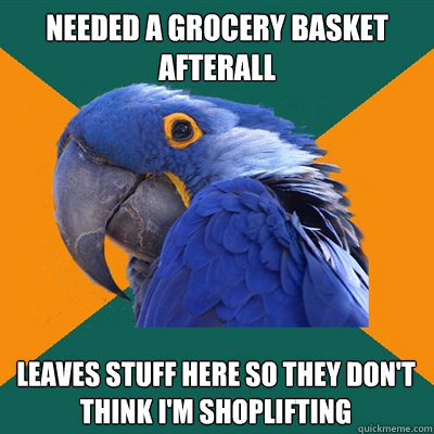 needed a grocery basket afterall leaves stuff here so they don't think I'm shoplifting  Paranoid Parrot