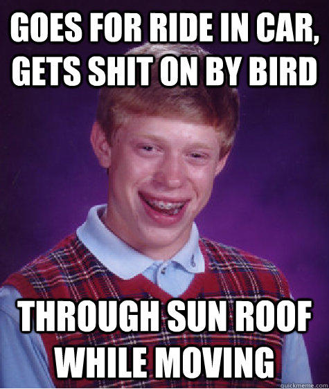 Goes for ride in car, gets shit on by bird through sun roof while moving   