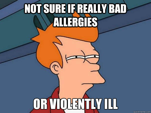 Not sure if really bad allergies or violently ill  Not sure Fry