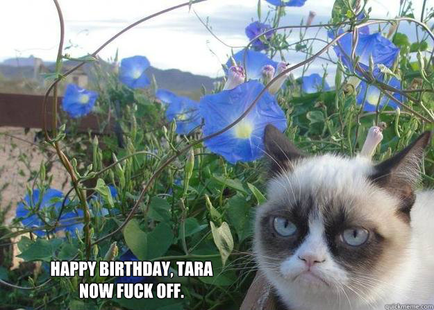   Happy birthday, tara
now fuck off. -   Happy birthday, tara
now fuck off.  Cheer up grumpy cat