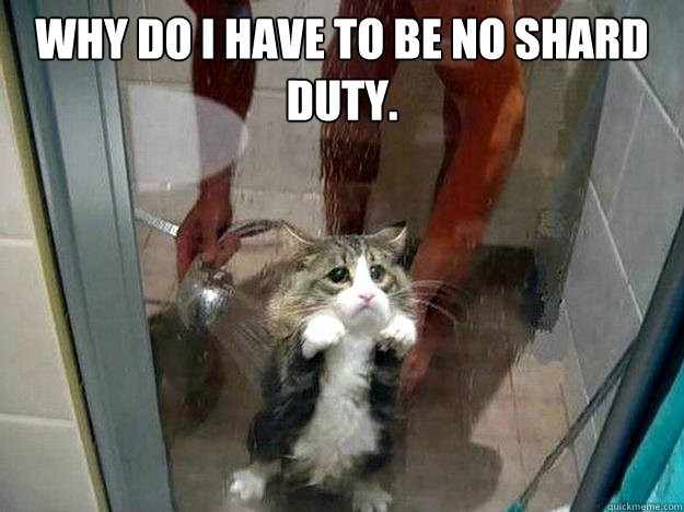 Why do I have to be no shard duty.   Shower kitty