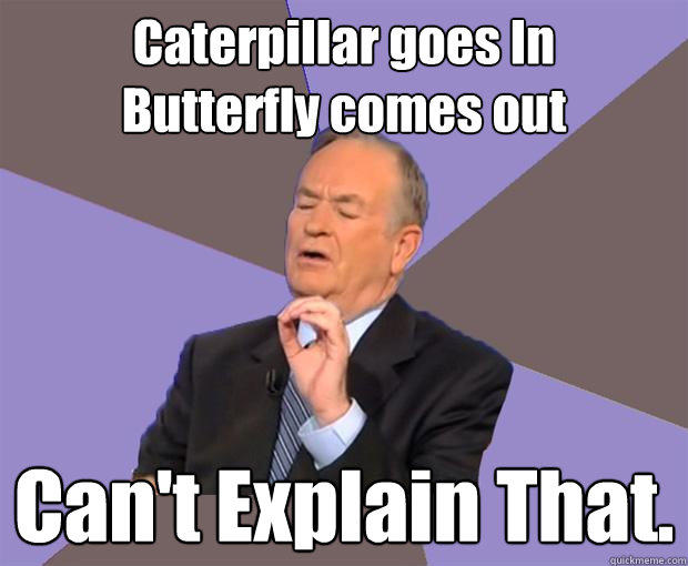 Caterpillar goes In
Butterfly comes out Can't Explain That. - Caterpillar goes In
Butterfly comes out Can't Explain That.  Bill O Reilly