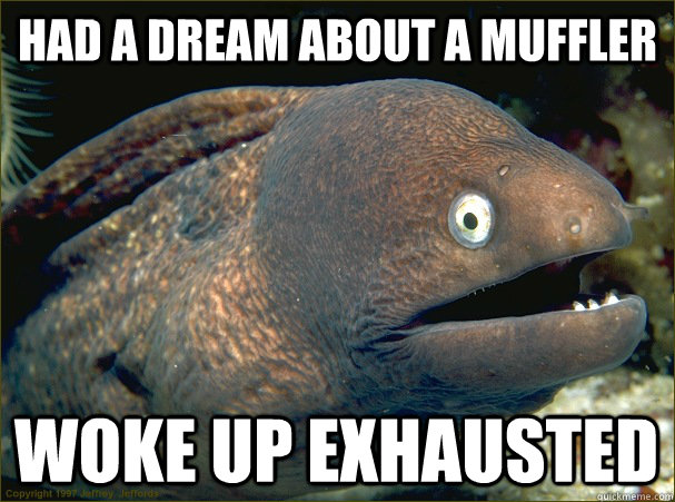 Had a dream about a muffler Woke up exhausted  Bad Joke Eel