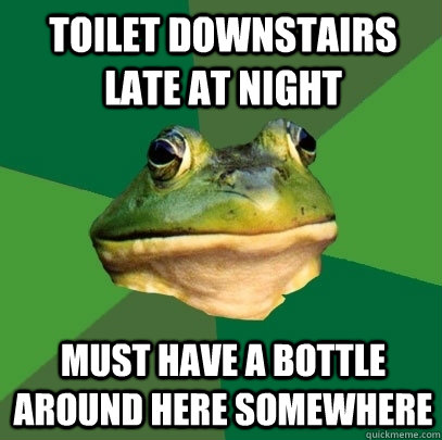 toilet downstairs late at night must have a bottle around here somewhere  Foul Bachelor Frog