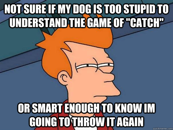 Not sure if my dog is too stupid to understand the game of 