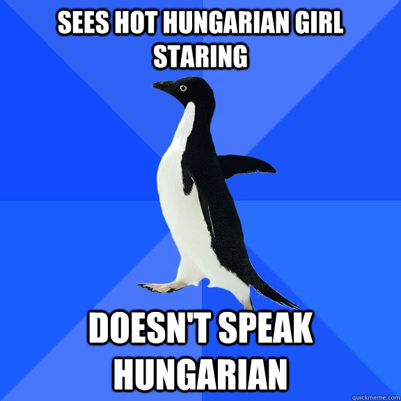 Sees hot hungarian girl staring doesn't speak hungarian  Socially Awkward Penguin