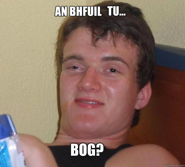 An bhfuil  tu... Bog? - An bhfuil  tu... Bog?  10 Guy