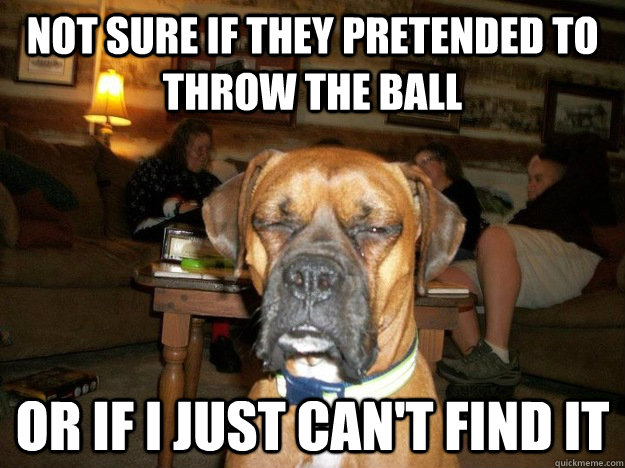 Not sure if they pretended to throw the ball or if I just can't find it - Not sure if they pretended to throw the ball or if I just can't find it  Misc