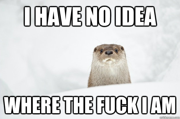 I have no idea Where the fuck I am - I have no idea Where the fuck I am  Otterly Uncertain