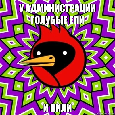 У администрации голубые ели и пили   Omsk