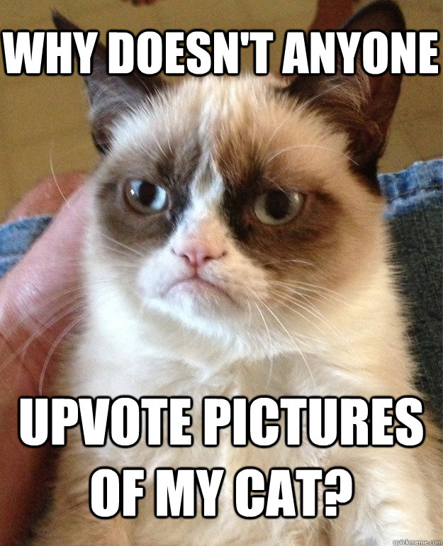 Why doesn't anyone Upvote pictures of my cat?  Grumpy Cat