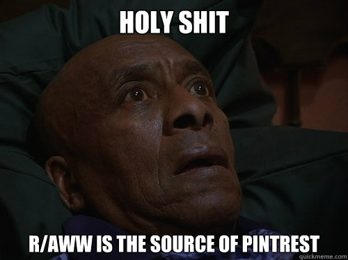 Holy Shit r/aww is the source of pintrest  Bedtime Realizations