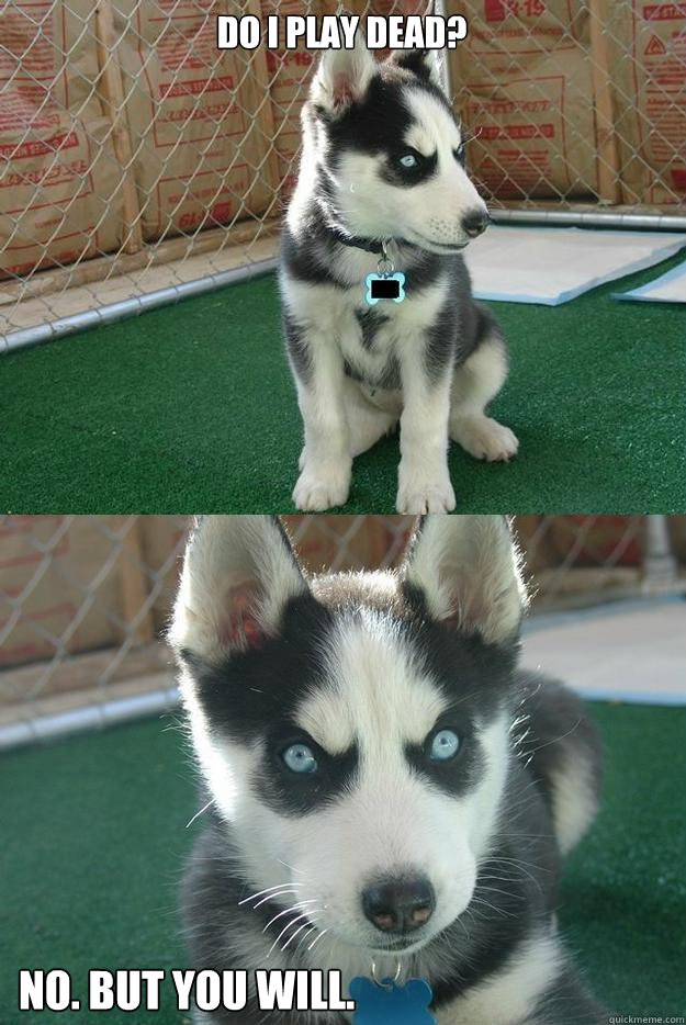 Do I play dead? No. But you will.  Insanity puppy