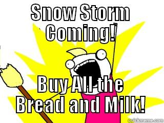 SNOW STORM COMING! BUY ALL THE BREAD AND MILK! All The Things