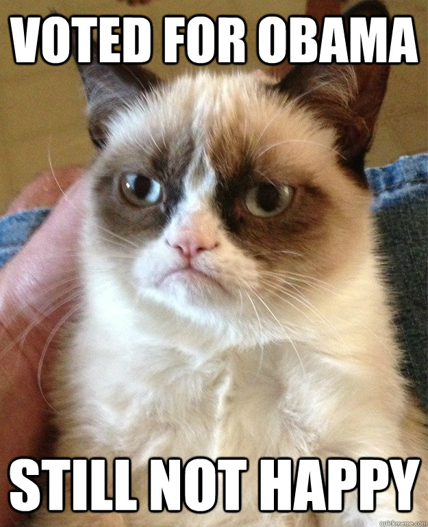 Voted For Obama Still not happy  Grumpy Cat