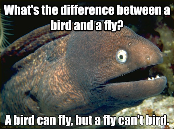 What's the difference between a bird and a fly? A bird can fly, but a fly can't bird.  Bad Joke Eel