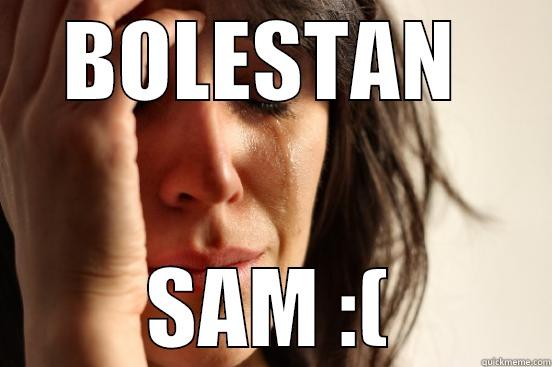 BOLESTAN  SAM :( First World Problems