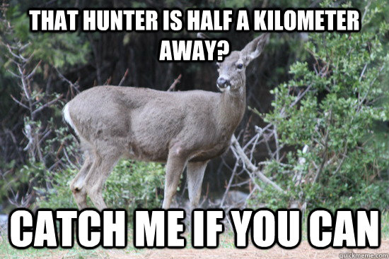 That hunter is half a kilometer away? Catch Me if you can  Daredevil Deer