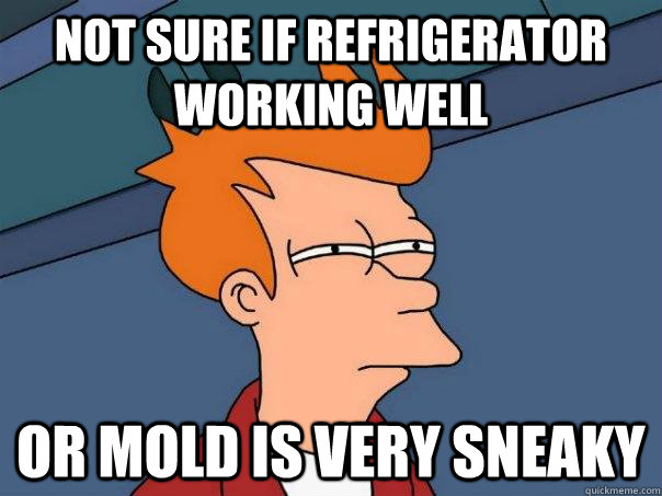 Not sure if refrigerator working well Or mold is very sneaky  Futurama Fry
