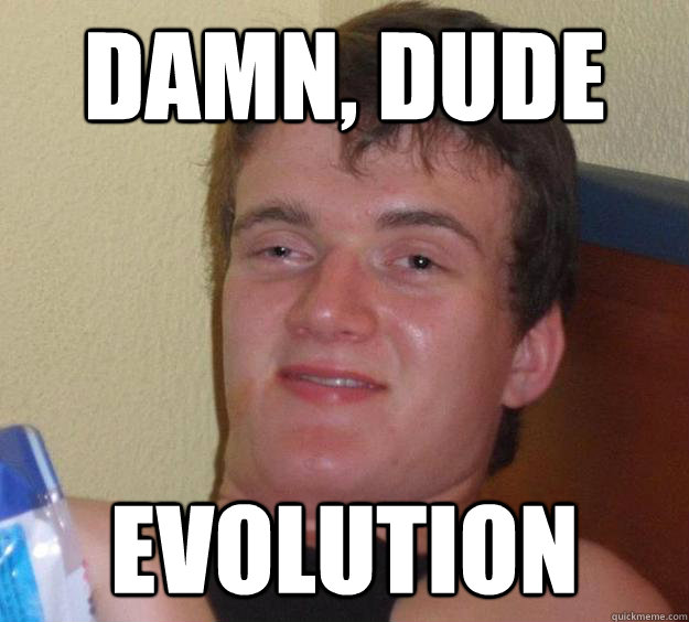 Damn, dude evolution  10 Guy