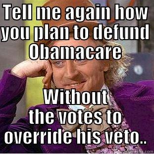 TELL ME AGAIN HOW YOU PLAN TO DEFUND OBAMACARE WITHOUT THE VOTES TO OVERRIDE HIS VETO.. Condescending Wonka