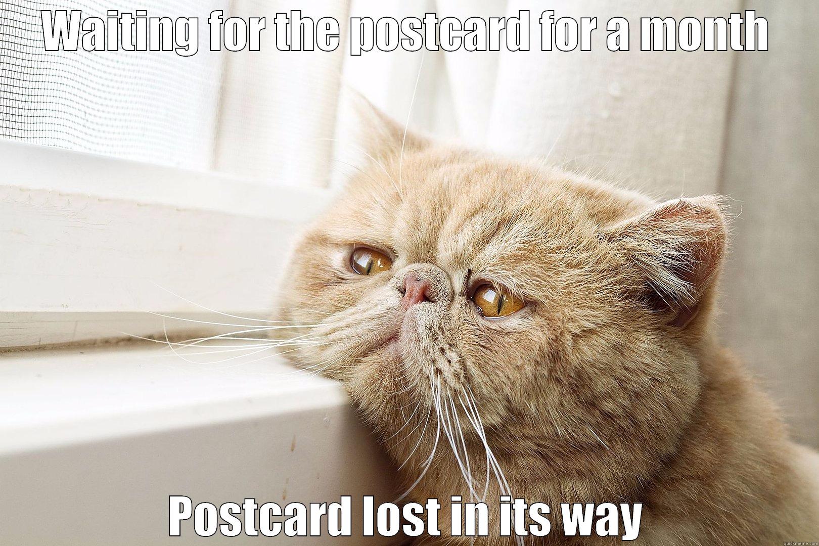 WAITING FOR THE POSTCARD FOR A MONTH POSTCARD LOST IN ITS WAY Misc