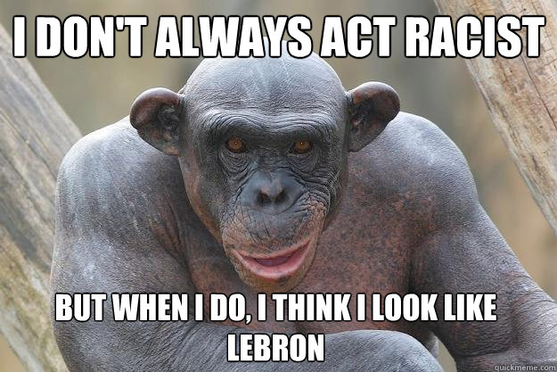 I don't always act racist but when I do, I think I look like LeBron
  The Most Interesting Chimp In The World