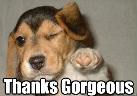 Thanks Gorgeous  - Thanks Gorgeous   winking pointing puppy