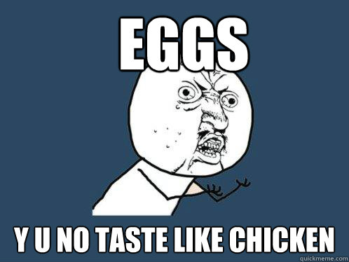 EGGS y u no taste like chicken  Y U No