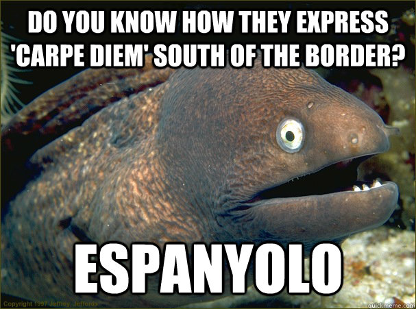 do you know how they express 'carpe diem' south of the border? espanyolo - do you know how they express 'carpe diem' south of the border? espanyolo  Bad Joke Eel
