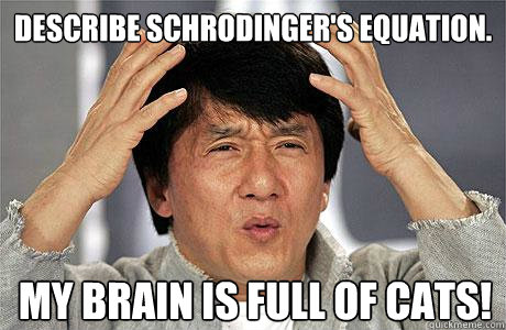 Describe Schrodinger's Equation. My Brain is Full of Cats! - Describe Schrodinger's Equation. My Brain is Full of Cats!  EPIC JACKIE CHAN