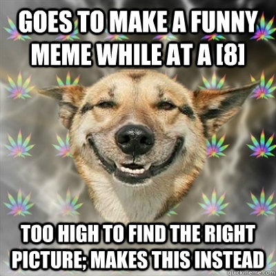 Goes to make a funny meme while at a [8] too high to find the right picture; makes this instead  - Goes to make a funny meme while at a [8] too high to find the right picture; makes this instead   Stoner Dog