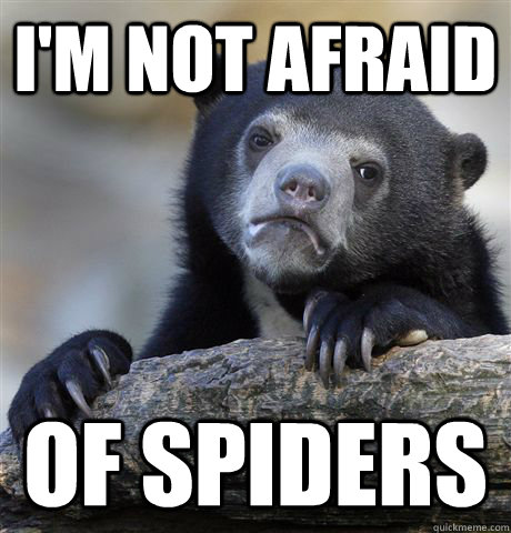 I'm not afraid of spiders  - I'm not afraid of spiders   Confession Bear