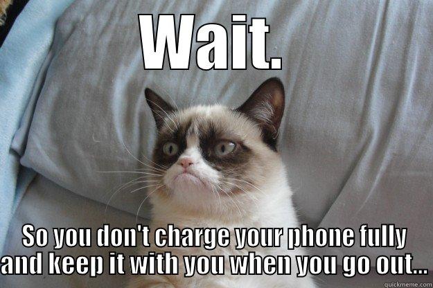 WAIT. SO YOU DON'T CHARGE YOUR PHONE FULLY AND KEEP IT WITH YOU WHEN YOU GO OUT... Grumpy Cat