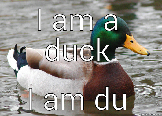 I AM A DUCK I AM DUCK DYNASTY Actual Advice Mallard
