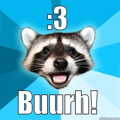 :3 BUURH! Lame Pun Coon