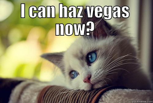 I CAN HAZ VEGAS NOW?  First World Problems Cat