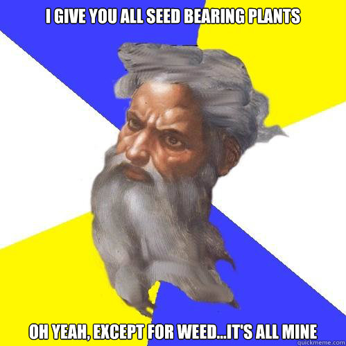 I give you all seed bearing plants oh yeah, except for weed...it's all mine  Advice God