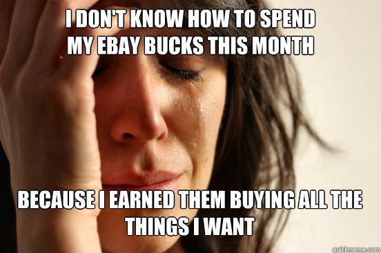 I don't know how to spend
my ebay bucks this month Because I earned them buying all the things I want Caption 3 goes here  First World Problems
