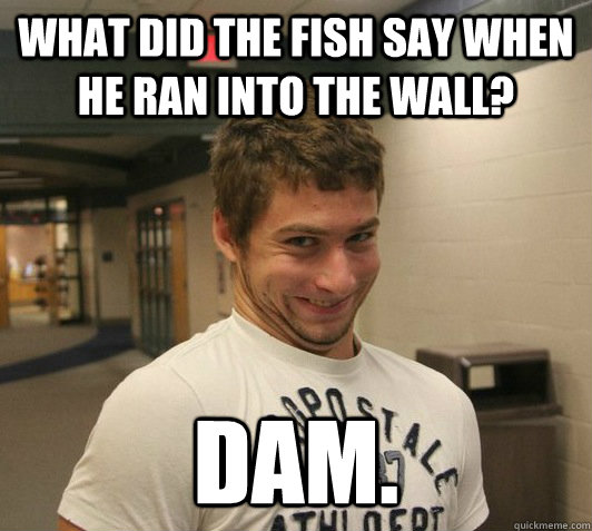 What did the fish say when he ran into the wall? DAM.  
