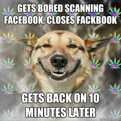 gets bored scanning facebook, closes fackbook gets back on 10 minutes later  Stoner Dog