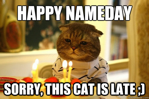 Happy Nameday Sorry, This Cat Is Late ;)  