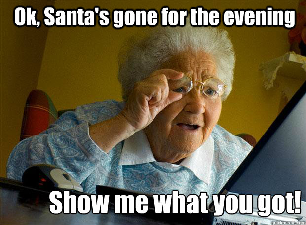 Ok, Santa's gone for the evening Show me what you got!
  Grandma finds the Internet