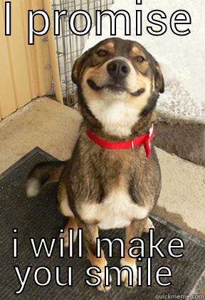 I PROMISE  I WILL MAKE YOU SMILE  Good Dog Greg