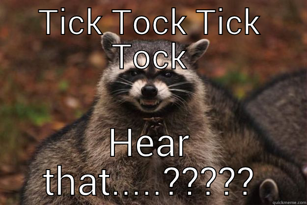 TICK TOCK TICK TOCK HEAR THAT.....????? Evil Plotting Raccoon