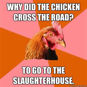Why did the chicken cross the road? to go to the slaughterhouse.  Anti-Joke Chicken